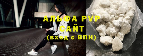 прущие грибы Бугульма