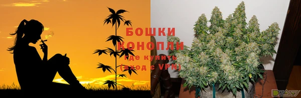 ALPHA PVP Богородск