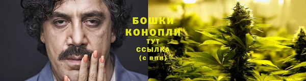 таблы Богородицк