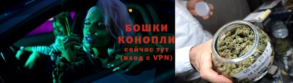 прущие грибы Бугульма