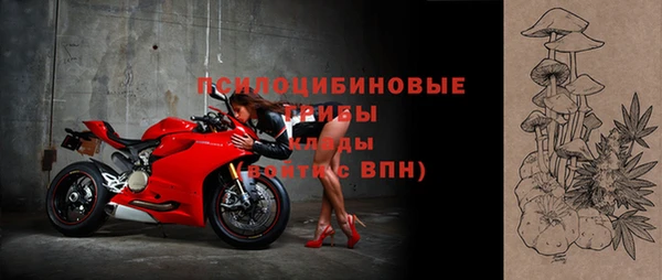 прущие грибы Бугульма